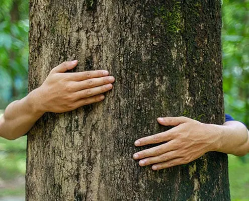 Mani appoggiate al tronco di un albero