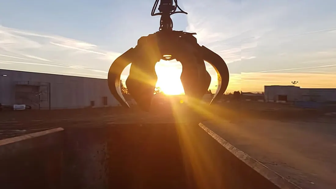 Ragno caricatore al tramonto